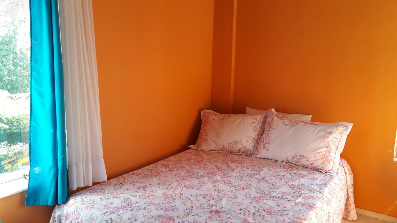 Banana Leaf Eco Hostel Ріо-де-Жанейро Екстер'єр фото